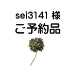 【  sei3141　様　様ご予約品】▼バッグ▼