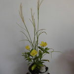 フラワーギフト 🔹 ススキと月見草のフラワーギフト