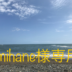 mihane様専用    穴あき117