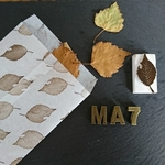落ち葉 桜 はんこ