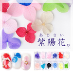 【美しい紫陽花フラワー　12色セット】ネイル・レジン封入・ガラスドームに♪ドライフラワー あじさい レジン ハンドメイド ネイル
