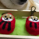 シバダルマレッド