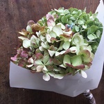 再販！秋色紫陽花のスワッグ