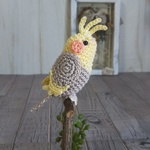 オカメインコ：ノーマル