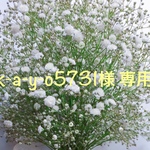 専用ページです