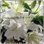 onma-mail7様のオーダー