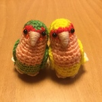 maroさま♡ご注文専用ページ:コザクラインコちゃん