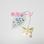 蝶なしパールのしおり変更