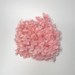 紫陽花 300(ピンク)
