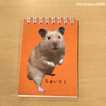 小さなガッツポーズであなたを応援するてぃーだメモ