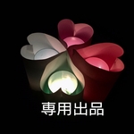 専用出品 
