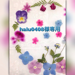 押し花＊halu0408様専用