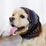 【再販】中型犬用スヌード エスニック柄