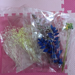 ハーバリウムや、レジンの材料に！花材