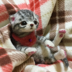 おねがいにゃんこNo.179