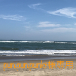 pun.pun.punkt様専用    