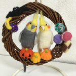 オカメインコのハロウィンリース♪羊毛フェルト