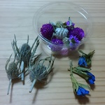 ドライフラワー⭐花材⭐1カップ⭐紫&青の花材