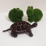 再販　羊毛フェルト　クサガメ