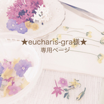 ★eucharis-gra様★専用ページ