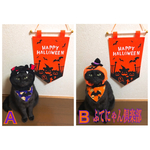 コウモリモチーフ付きハロウィン首輪、バンダナ