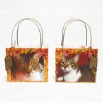 randycat07様専用ーいとしいニャンコオリジナル紙袋合計7枚