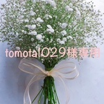 tomota1029さま専用ページ