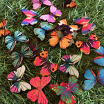 ウッド wood 木製 バタフライ 蝶 butterfly カボション ランダム 5ペア 10個 ２8×21㎜
