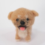 柴犬パピーちゃん