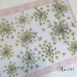 ♡作家様必見♡送料無料！レースフラワーの代用に…♡セリ科のお花 押し花セット