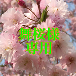 お花のウッドクリップ(ラベンダー)