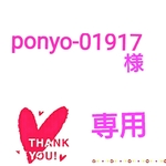 ponyo-01917様専用(べっ甲風Ｗ△)