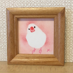 どうしたの？ 白文鳥