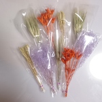 【Sale】花材 ハロウィン向きセット