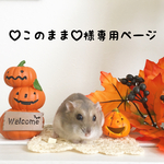 ♡このまま♡様専用ページ