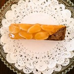 ☆サンプル価格☆フロランタンのバレッタ
