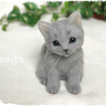  可愛い子猫　ロシアンブルー限定　miyonsawara様リクエスト品  
