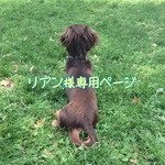 リアン様専用ページ