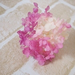 【単品】紫陽花プリザーブドフラワー「アナベルカシスフロート」