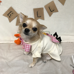 ハロウィン犬服　ベール付き  ギンガムドレス