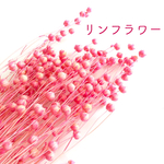 プリザーブドフラワー　【小分け】　リンフラワー　ピンク　蕾　40蕾　 