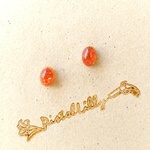 No.5916 送料込♥金縁オーバルピアス