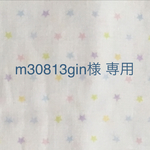 m30813gin様 専用