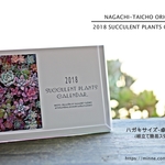 【予約販売】多肉植物カレンダー2018【卓上タイプ】【リメ缶と同梱不可】