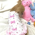 いちごフリルタンク犬服