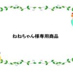 ねねちゃん様専用商品