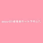 ＊amyu-01様専用カートです＊
