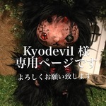 kyodevil 様専用ページ