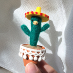 メキシカン サぶテンY