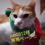 jun0312様オーダー品